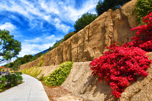 boulderscape-contentbg-fayavenue-1