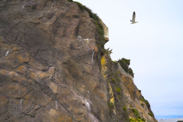 boulderscape-alcatraz-4
